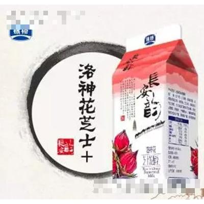 银桥长安韵发酵乳洛神花芝士220g