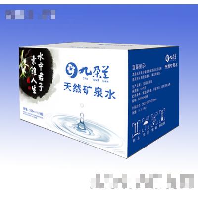 吉林省长春市九朵兰科技有限公司