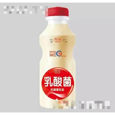 领润乳酸菌饮品330ml