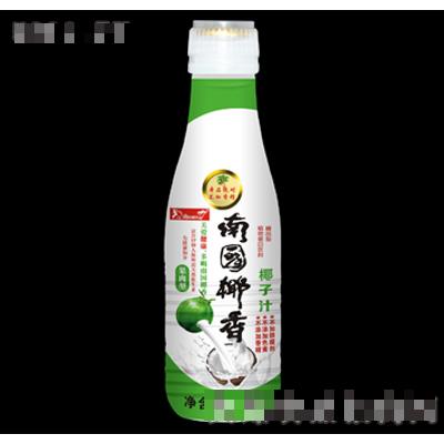 500ml南国椰香椰子汁