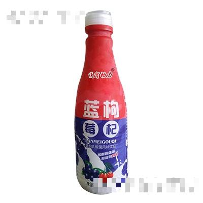 通宵动力蓝莓枸杞乳酸菌饮品1.25L