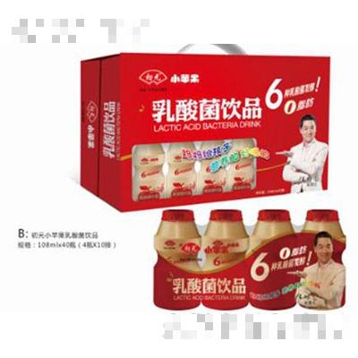 初元小苹果乳酸菌（108ml）