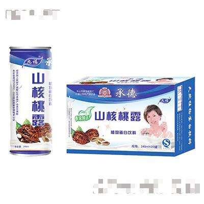 九福山核桃露植物蛋白饮料240mlx20