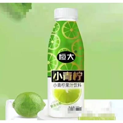 江西恒大尚品饮料有限公司