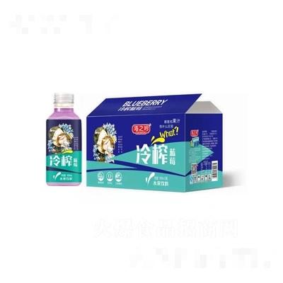 海之吟冷榨蓝莓水果饮料500ml×15