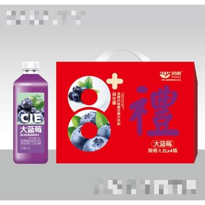 昊雨益生菌发酵蓝莓汁饮料（礼盒）