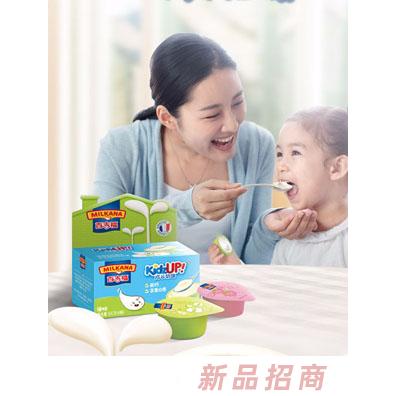 百吉福成长奶酪原味