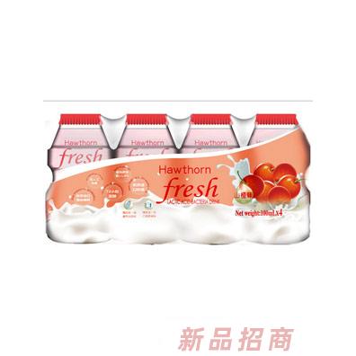 Hawthorn乳酸菌饮品山楂味