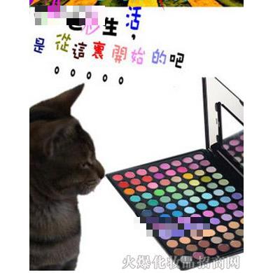 P96-伊姿蔓96色珠光亚光彩妆眼影盘