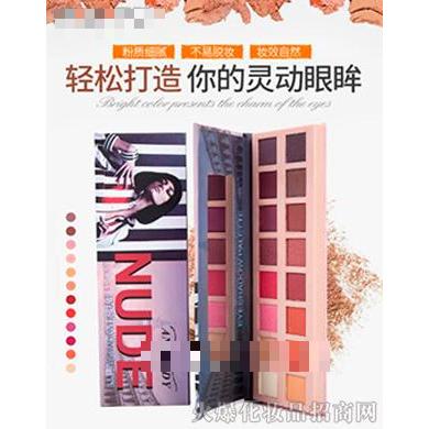ANYLADY16色眼影盘