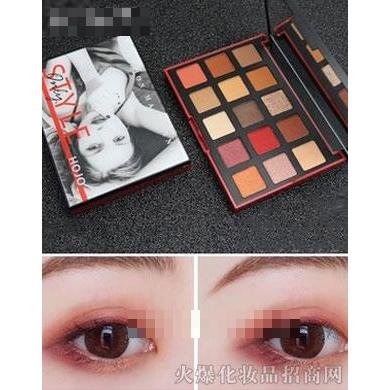 HOJO迷媚情调细腻十五色眼影盘