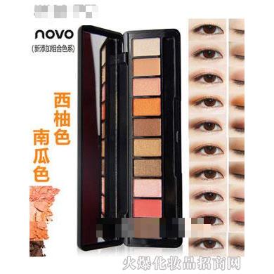 NOVO真彩十色眼影盘