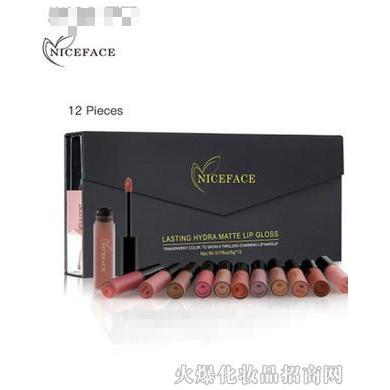 niceface-12色唇彩组合套装