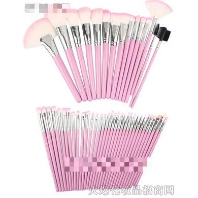 TS4801专业48支粉红化妆套刷