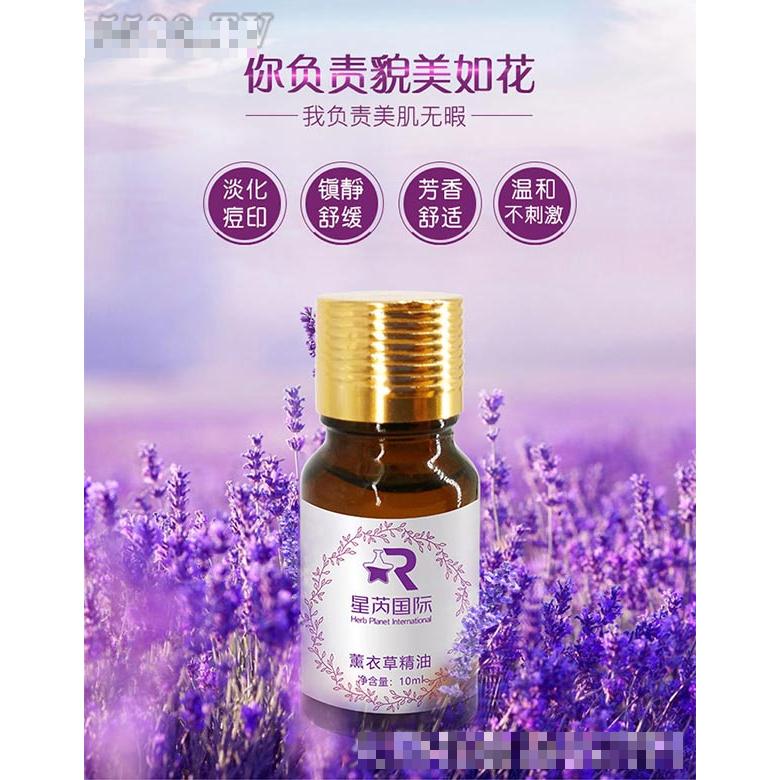 薰衣草单方精油