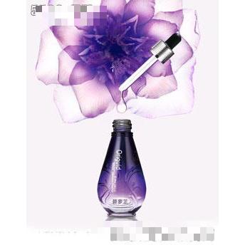 悠岚达碧萝芷