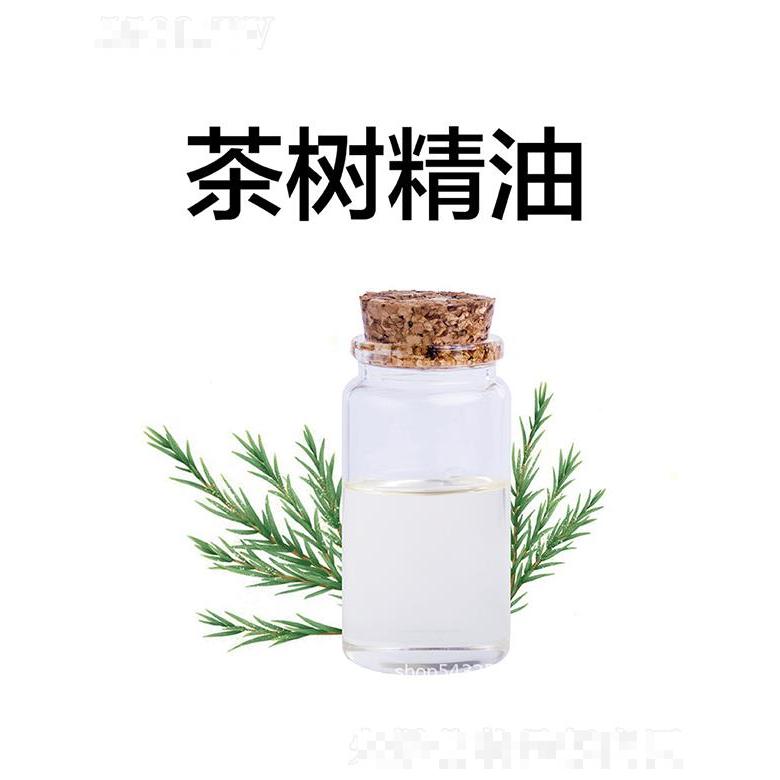 天竺茶树精油