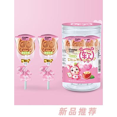 壹诺贝软小朵益生菌山楂棒