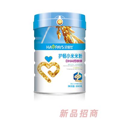 汉培仕DHA铁锌钙+核桃莲子+淮山水果+益生元胡萝卜护畅小米米粉听装