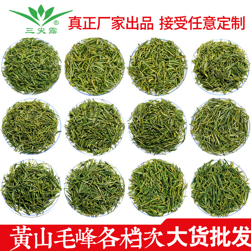 三尖露黄山毛峰春茶雀舌绿茶oem代工