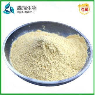 酵母抽提物 酵母提取物 YE 调味剂 安琪酵母 酵母味素 8013-01-2OEM代工