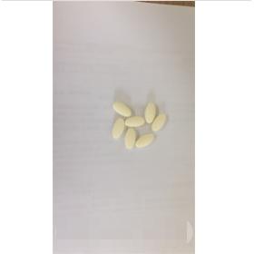 胖大海青果压片糖果oem贴牌代工