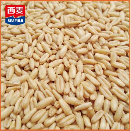 西麦澳洲燕麦米25kgoem贴牌代工