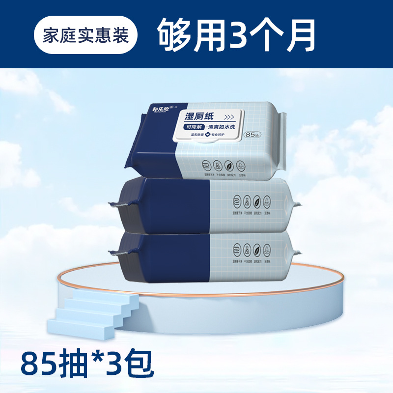 湿厕纸家庭实惠装OEM代加工