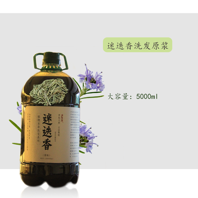 雪莱昵植物本草迷迭香原浆5000ml 洗发水 oem代加工