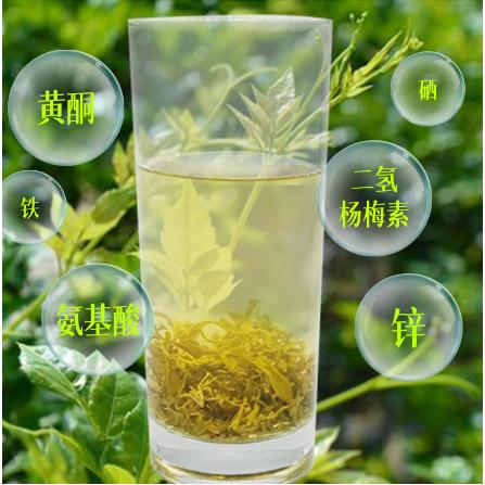 龙须芽尖oem代加工