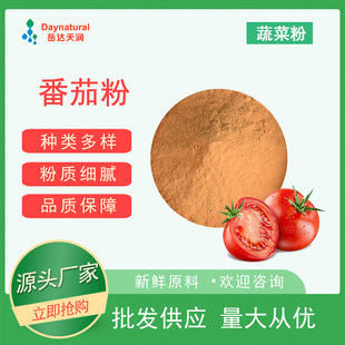 番茄粉 脱水蔬菜番茄粉