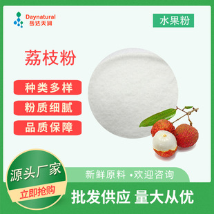 荔枝粉 荔枝果粉 固体饮料原料