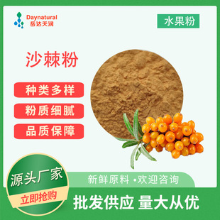 沙棘提取物 固体饮料