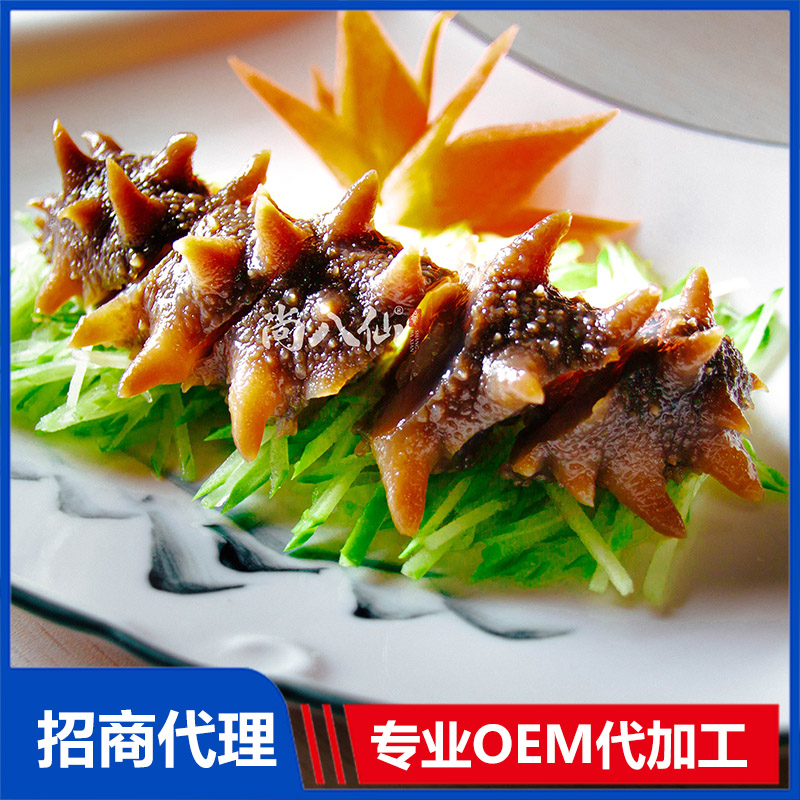 尚八仙日料刺参招商代理 日料刺参OEM加工