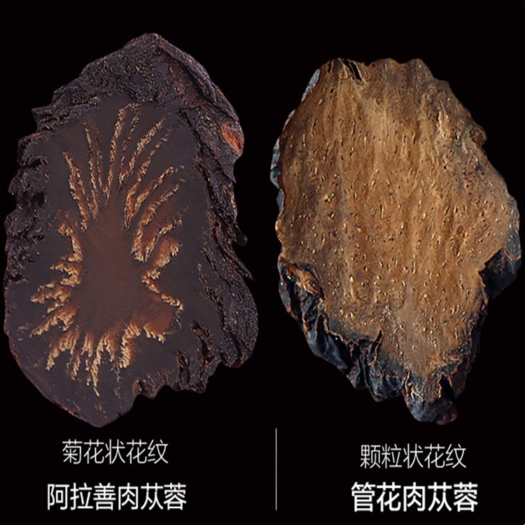 批发代发新鲜阿拉善肉苁蓉与锁阳泡酒内蒙古中药材肉苁蓉油切片OEM代加工