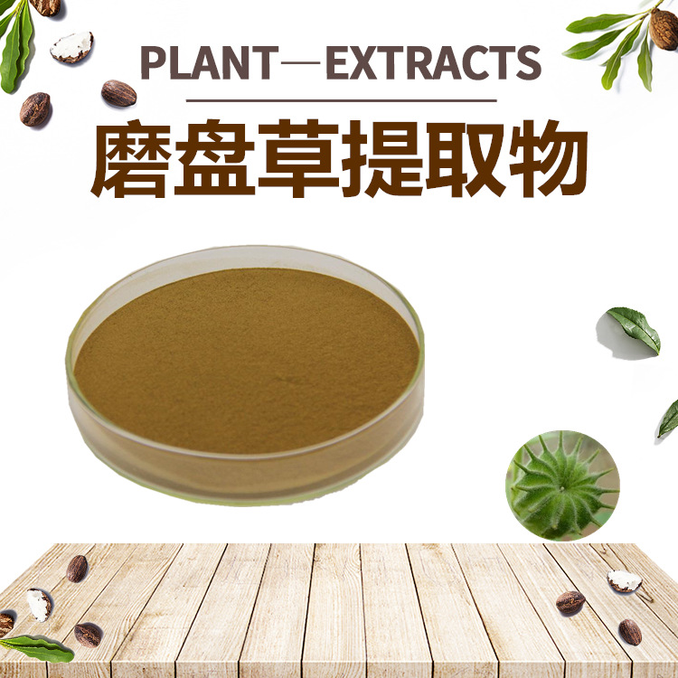 磨盘草提取物OEM代加工