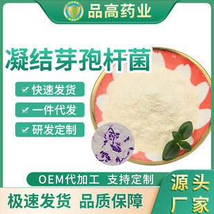 凝结芽孢杆菌OEM代加工