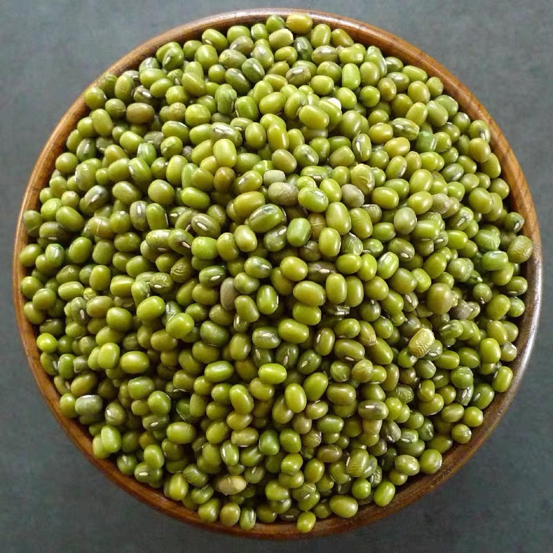 五谷杂粮豆浆粉原料 货源供应批发熟绿豆 低温烘培熟明绿豆OEM代加工
