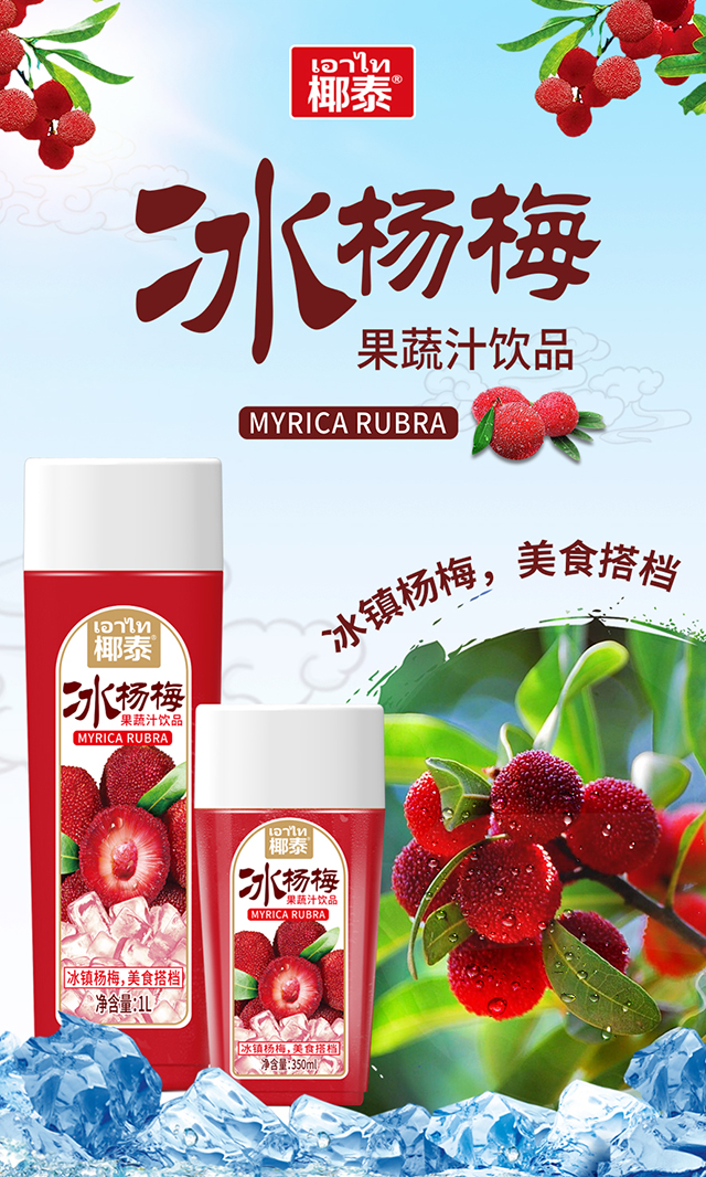 椰泰水杨梅果蔬汁饮品 详情.jpg