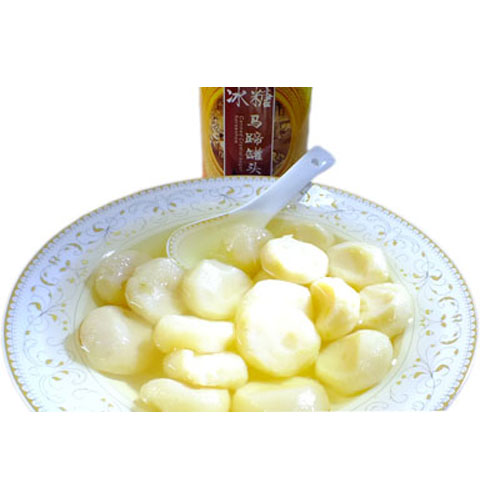 425克马蹄罐头.jpg