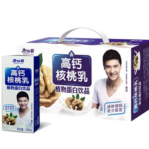 高钙核桃乳植物蛋白饮品.jpg