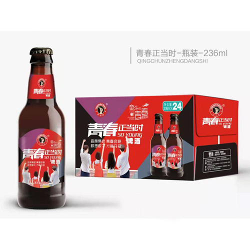 青春正当时啤酒棕瓶236ml.jpg