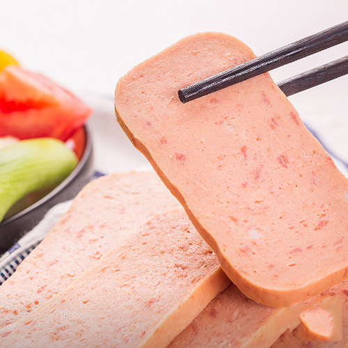 大龙燚火锅午餐肉340g2.png