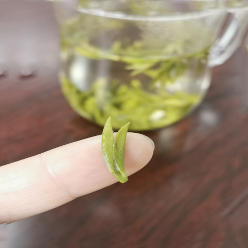 陆羽留香绿茶“尊”陶罐礼盒2.png