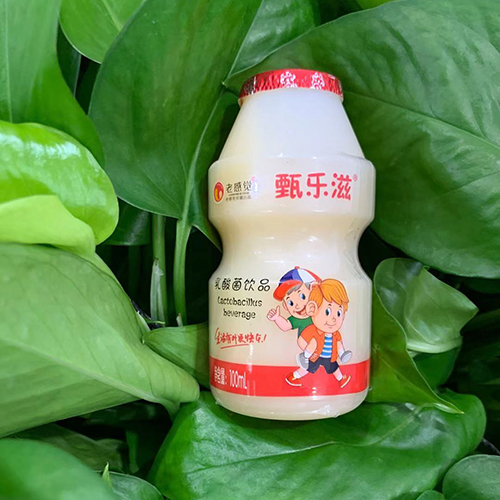 甄乐滋乳酸菌饮品100ml.jpg