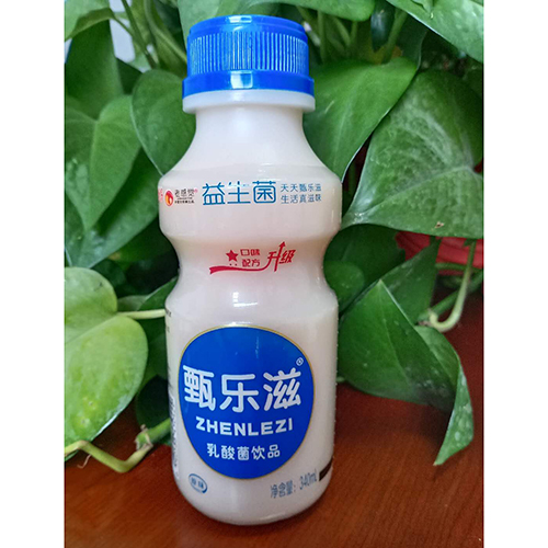 甄乐滋原味乳酸菌饮品340ml.jpg