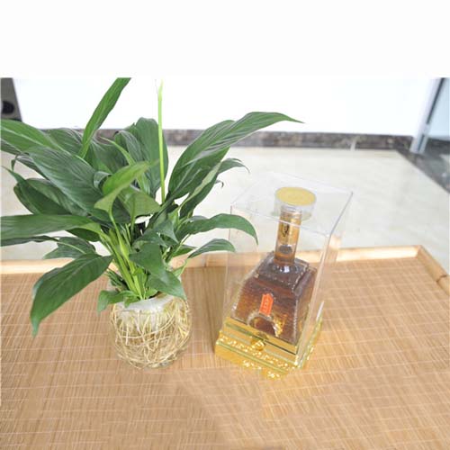 大竹国液酒-大瓶1.jpg