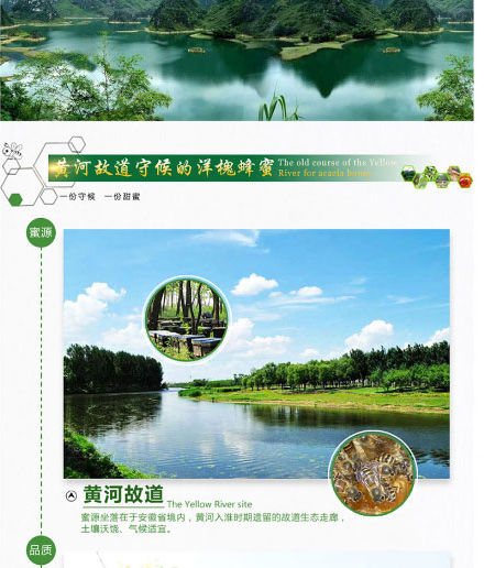 以岭牌洋槐蜂蜜_03.jpg
