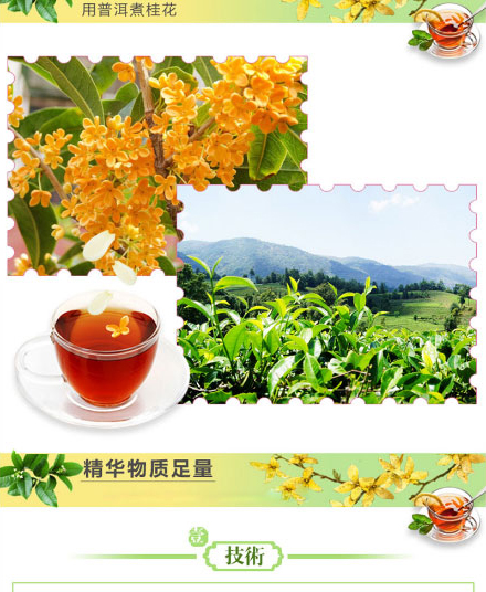 以岭桂花普洱茶珍_03.jpg