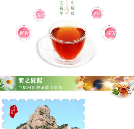 以岭菊花茶珍_03.jpg